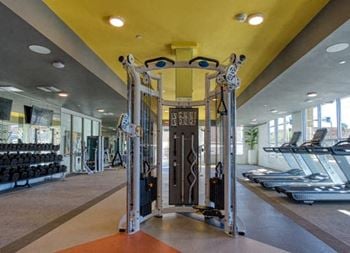 Maintain your lifestyle in the athletic club with strength and cardio equipment and dispensable wipes, hand sanitizer and water bottle fill station