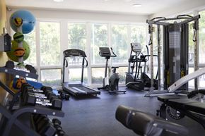 Savannah apartment for rent - Greentree Apartments in Savannah, GA photo of a gym with cardio equipment and large windows