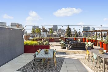 Rooftop terrace