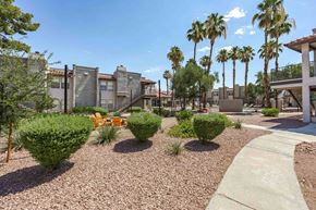 Henderson apartment for rent - A sunny day in a courtyard with palm trees and a building in the background.