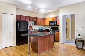Minneapolis apartment for rent - fully functioning kitchen at Uptown Lake Apartments, Minnesota, 55408