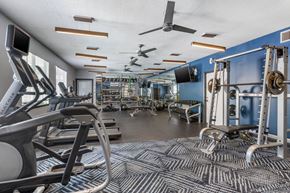 Peachtree City apartment for rent - Equipped fitness center at The Greens at Braelinn in Peachtree City, Georgia.