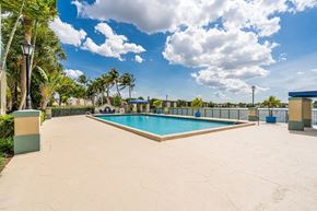 Miami apartment for rent - Outdoor swimming pool with palm trees and waterfront view under a bright blue sky.