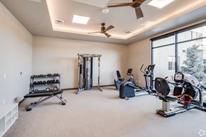 Greeley apartment for rent - High-End Apartments in Greeley, CO - The Shelby - Fitness Center with Carpeting, Free Weights, Workout Bench, Weight Training Machine, Cardio Equipment, Two Ceiling Fans, and Floor-to-Ceiling Windows.