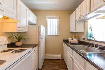 Gold collection: all classic features plus: vinyl plank flooring, resurfaced countertops