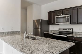 Stainless steel appliances*