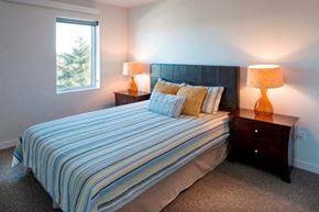 Portland apartment for rent - Abundant Natural Lighting