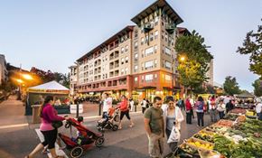 San Rafael apartment for rent - Dozens of Restaurants and Shops Nearby