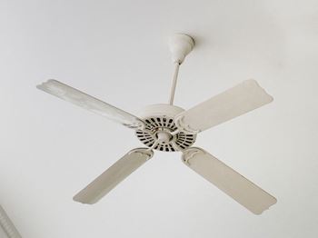 Ceiling fans
