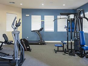 Reno apartment for rent - a gym with various exercise equipment in a room