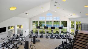Glendale Heights apartment for rent - Apartments for Rent in Glendale Heights, IL 60139 – The Monroe – fitness center with lots of cardio equipment
