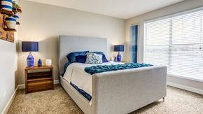 Glendale Heights apartment for rent - Apartments for Rent in Glendale Heights, IL 60139 – The Monroe – bedroom with plush carpeting