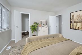 Newport News apartment for rent - a bedroom with a bed and a closet