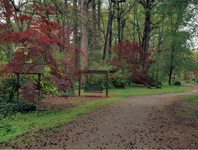 Pine Lake apartment for rent - Affinitee at Pine Lake Apartments in Pine Lake, GA photo of a path through a park with trees and a bench