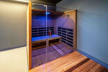 Full spectrum infrared sauna