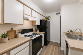 Tallahassee apartment for rent - A kitchen with a black refrigerator and a white stove top oven.
