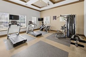 Zephyrhills apartment for rent - Summerset Apartment Affordable Zephyrhills, FL apartments A spacious gym with treadmills, elliptical machines, and a weight machine.