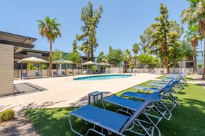 Tempe apartment for rent - Resort-style pool seating area at Sono Tempe Apartments in Tempe, AZ with shaded loungers and outdoor relaxation space.