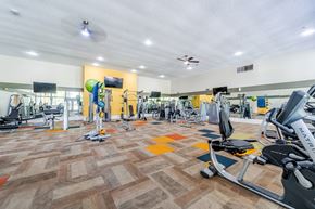 Tempe apartment for rent - Fully equipped fitness center at Sono Tempe Apartments in Tempe, Arizona with cardio machines and strength equipment.