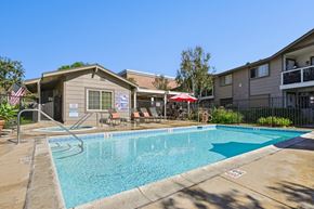 San Dimas apartment for rent - Community pool area with lounge chairs and mature landscaping at Sunnyside Senior Apartments in San Dimas, CA