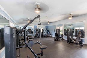 Charleston apartment for rent - The Jaunt Apartments in Charleston South Carolina photo of the fitness center