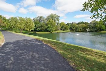 Views of the tranquil pond*