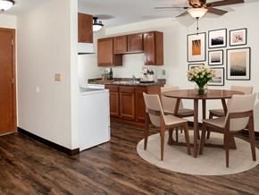 Rochester apartment for rent - apartments with dining area in Rochester MN
