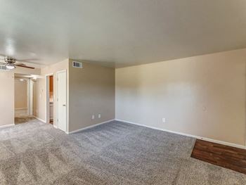 Plush carpeting