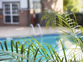 Jackson apartment for rent - pool at apartment complex