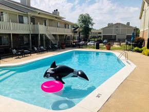 Derby apartment for rent - outdoor swimming pool at apartment