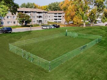 Dog park