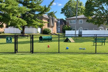 Dog park
