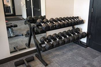 Free weights