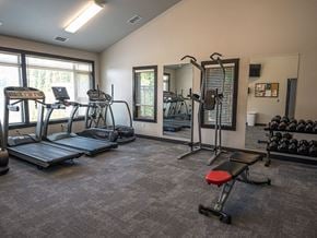Kalamazoo apartment for rent - a gym with treadmills and other exercise equipment