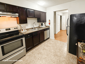 Kalamazoo apartment for rent - A kitchen with a black refrigerator and a stove with a silver oven.