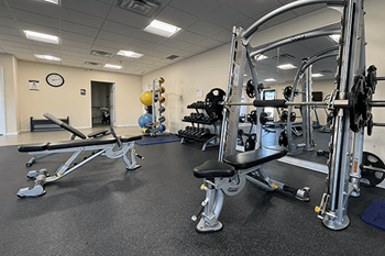 Professional fitness center