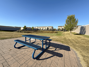 Williston apartment for rent - A blue picnic table is in the foreground of a grassy area.