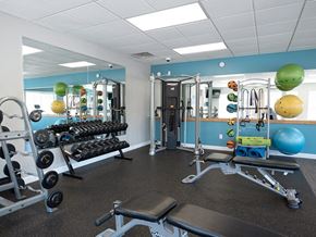 Grand Rapids townhouse for rent - a gym with weights and other equipment in a room with blue walls