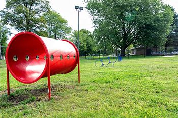 Bark park