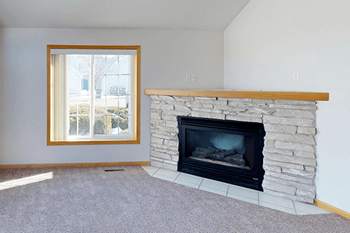 Gas fireplace