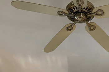 Ceiling fans