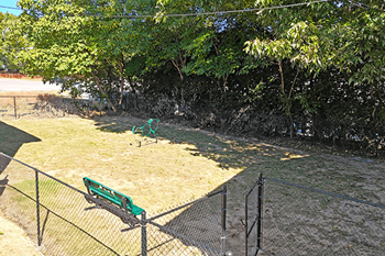 Enclosed bark park with agility course