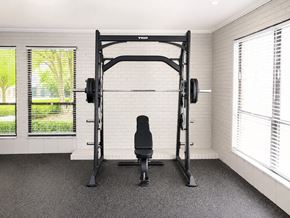Hamilton apartment for rent - A black home gym setup with a squat rack and a bench.