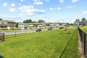 Dog park