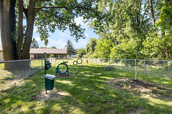 Dog park