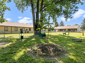 Toledo apartment for rent - a dog park with a tree at apartment community