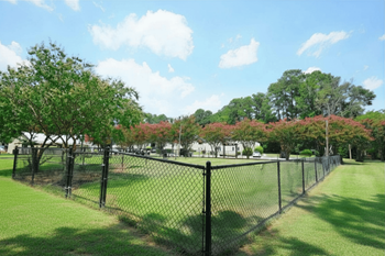 Bark park