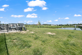 Dog park