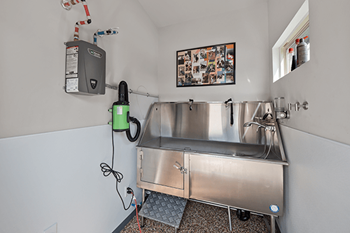 Dog wash station