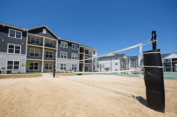 Volleyball court